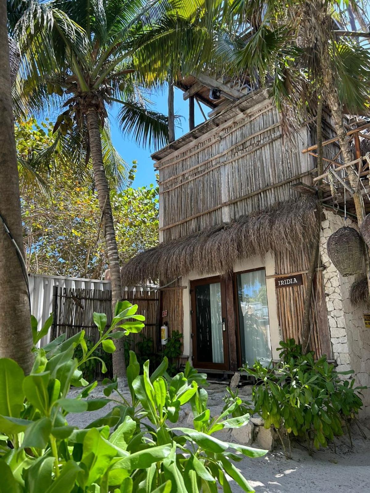Alquimia Hotel Boutique ตูลุม ภายนอก รูปภาพ
